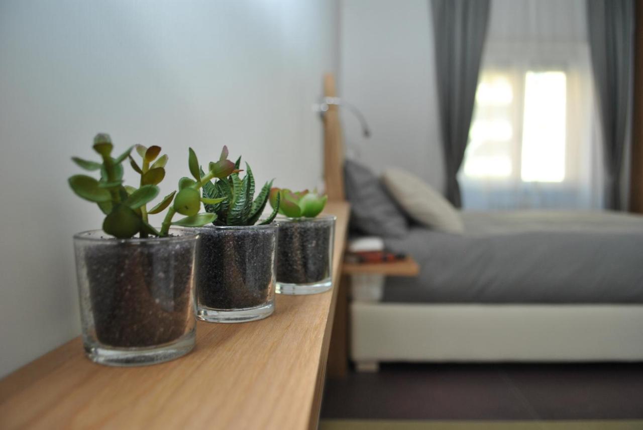 Aleja Bed & Breakfast Roma